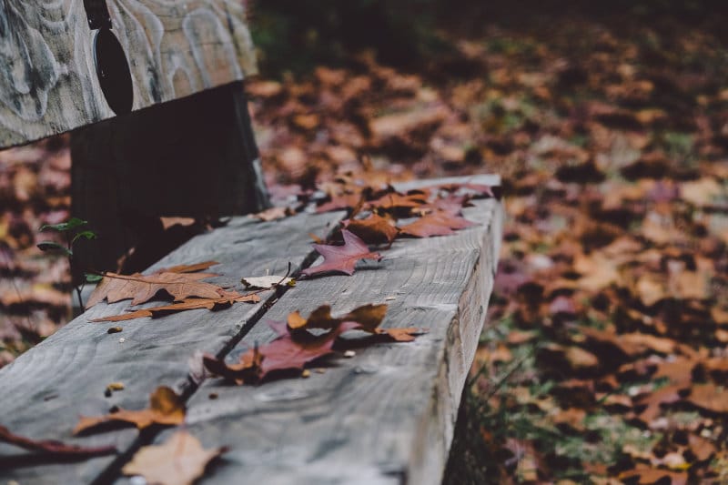 empty bench