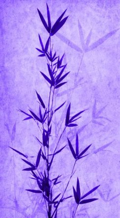 Silhouette of branches of a bamboo on paper background