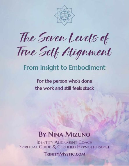 Seven Levels of True Self Alignment